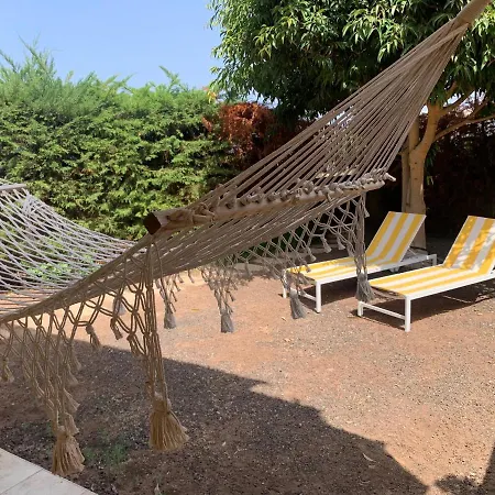 Apartment In Costa Adeje. Great Terrace. Pool.wifi